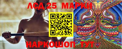 гидра Будённовск