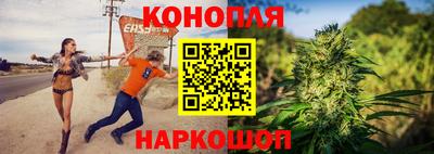 гидра Будённовск