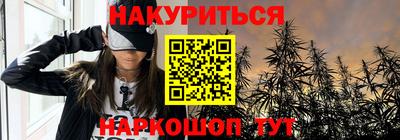 гидра Будённовск