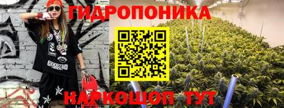 гидра Будённовск