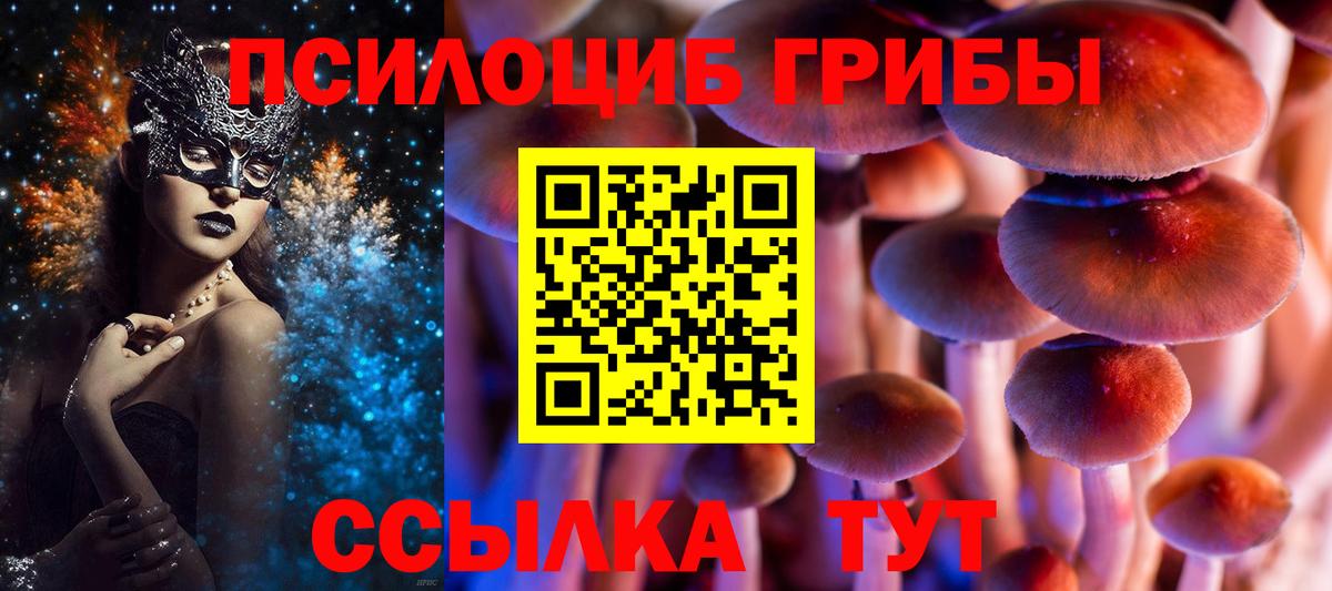 Пугачёв  Галлюциногенные грибы мицелий  Вход с VPN  где найти   Галлюциногенные грибы Psilocybine cubensis 